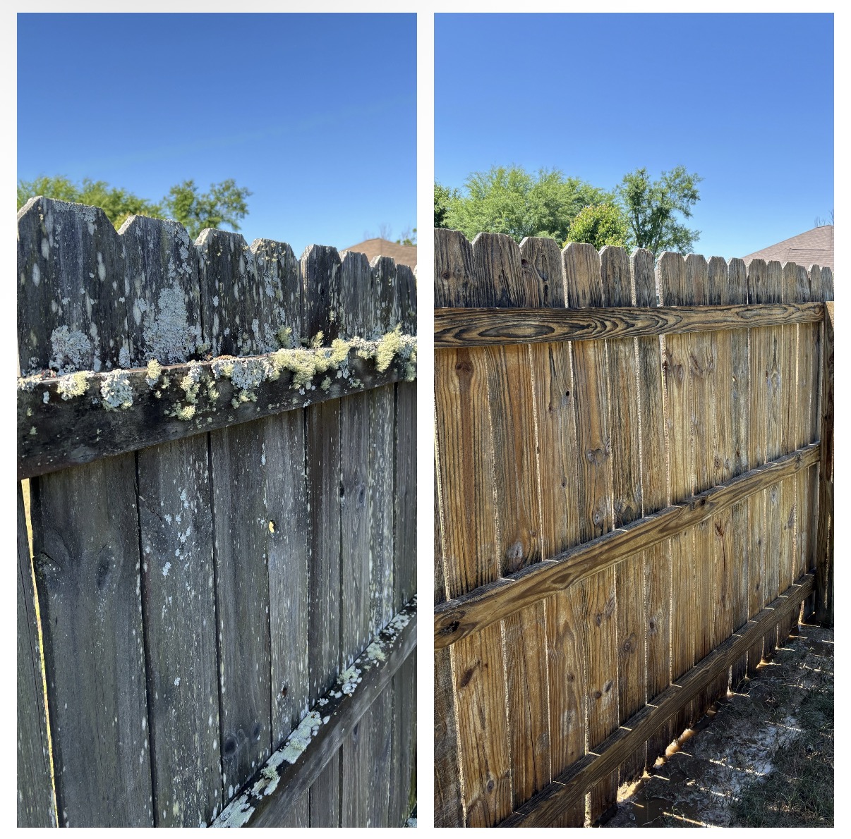 Fence & Deck
